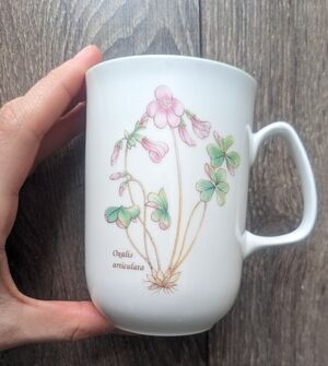 Vintage Rose Of England Floral Bone China Mug